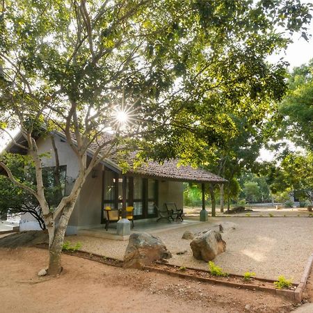 Koragaha Lodge - Yala Tissamaharama Extérieur photo