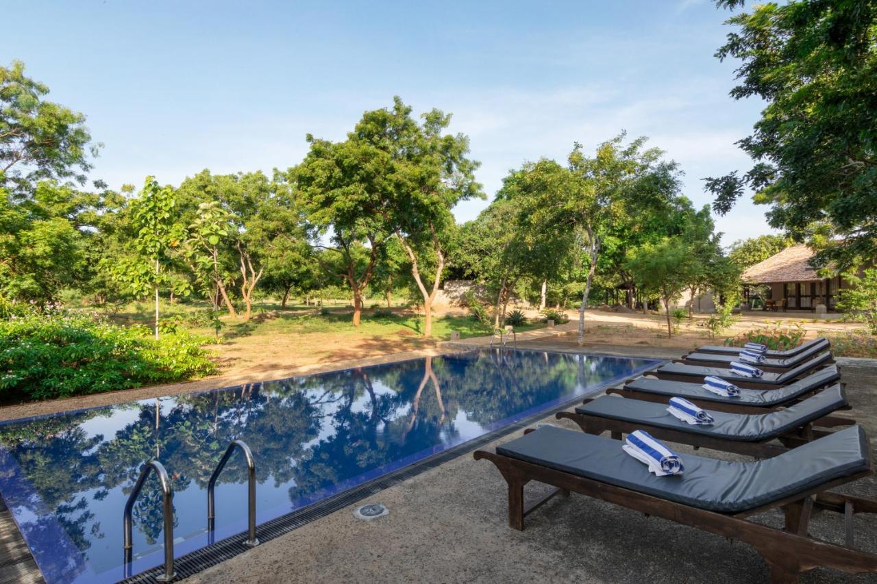 Koragaha Lodge - Yala Tissamaharama Extérieur photo